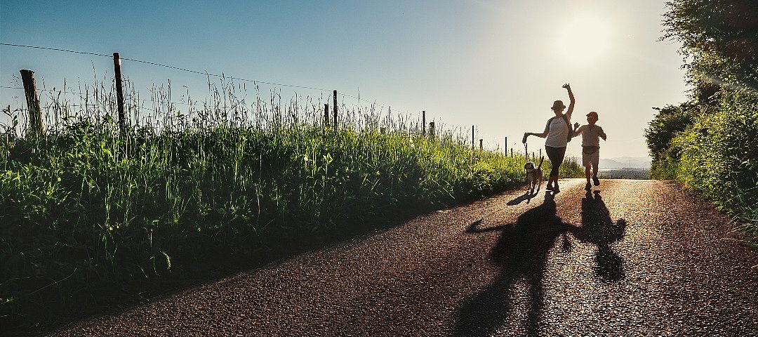 Ein Erwachsener und sein Kind laufen mit ihrem Hund an einem Maisfeld vorbei.