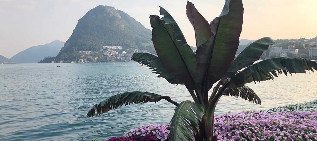 Senior Living in Leisure-Destinationen: Nach der Costa del Sol und Linz am Rhein setzt The Flag jetzt auch in der Schweiz mit seinem Neuerwerb bei Lugano auf Wassernähe für seine Senior-Living-Projekte.