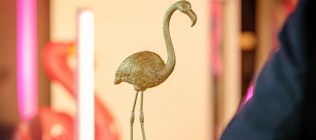 Drei Kandidaten, zwei „Nest des Flamingos“ – am 20. November 2025 wird live entschieden. © Hafencitystudios